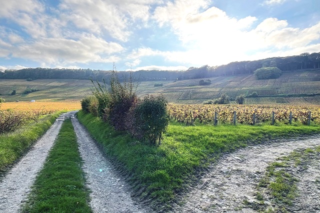 Biodiversité